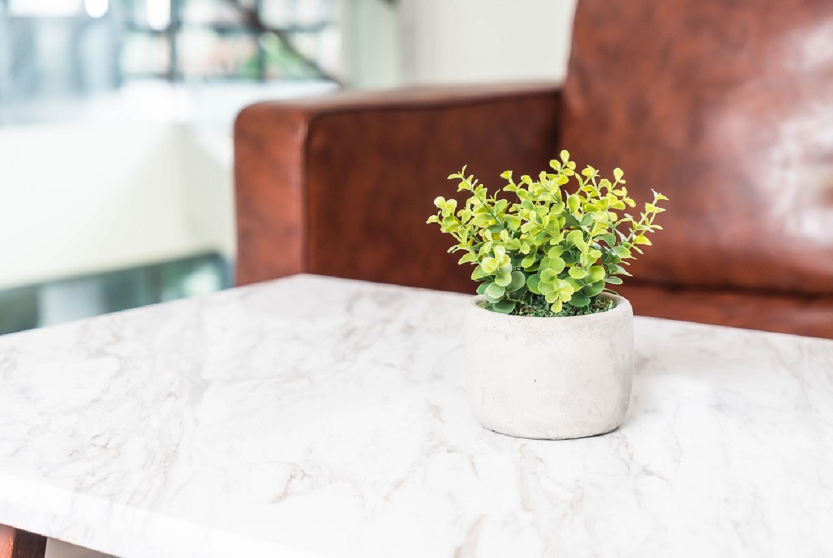 Learn How to Choose a White Marble Benchtop in 5 Min: Quick Guide