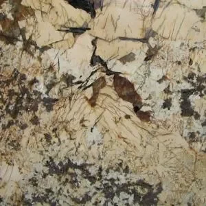 Gran Delicatus <br>
Granite