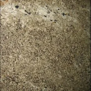 Star Beach <br>
Granite